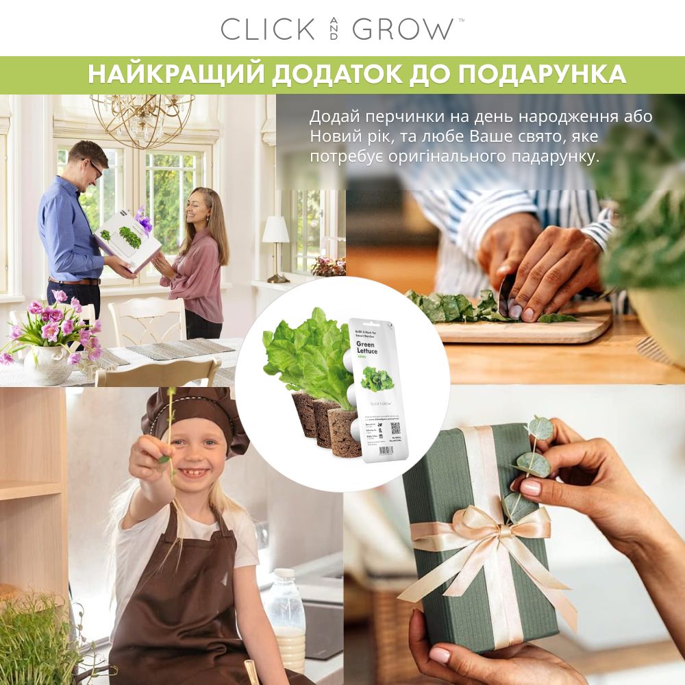 Змінний картридж Click & Grow Салат зелений (Oakleaf Lettuce) 3 капсули