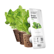 Змінний картридж Click & Grow Салат зелений (Oakleaf Lettuce) 3 капсули