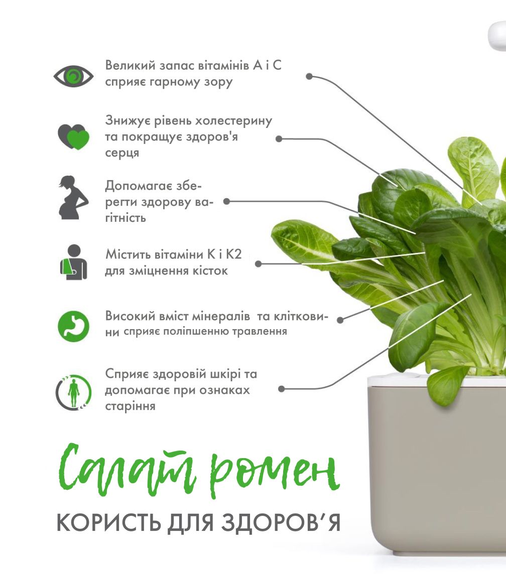 Змінний картридж Click & Grow Салат Ромен (Romaine Lettuce) 3 капсули